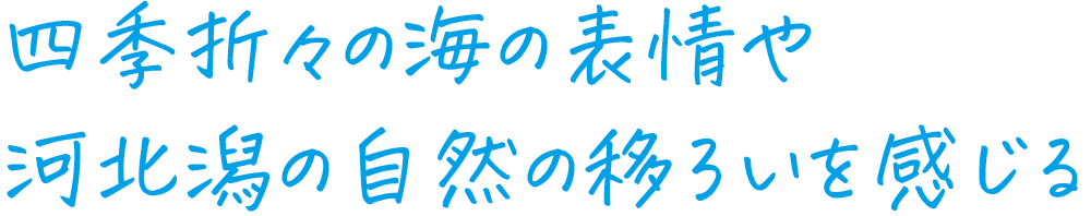 四季折々の海の表情や河北潟の自然の移ろいを感じる